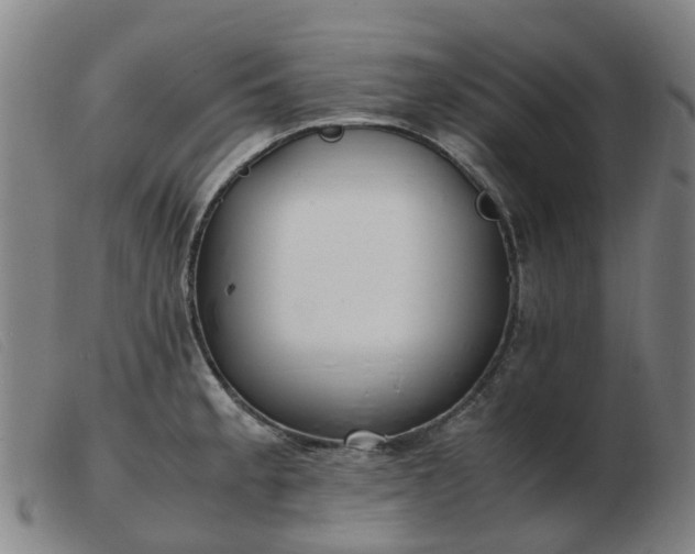 X0000103451189200809191740