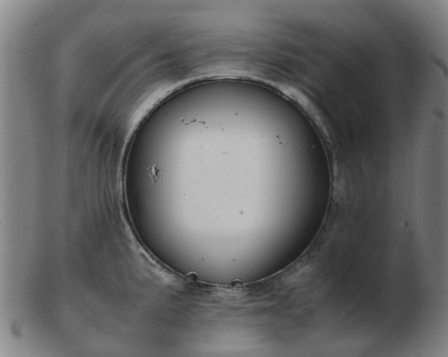 X0000103451191200809191740