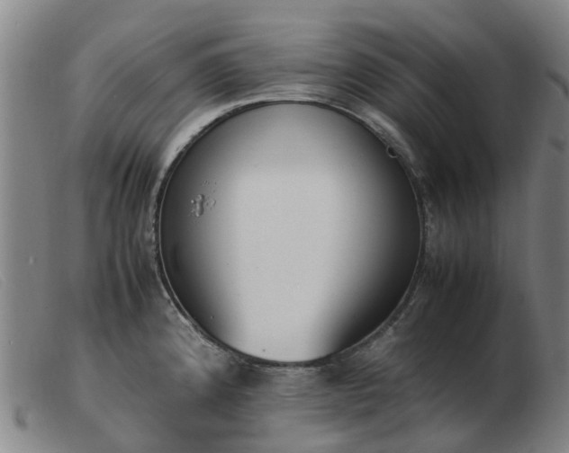 X0000103451192200809191740