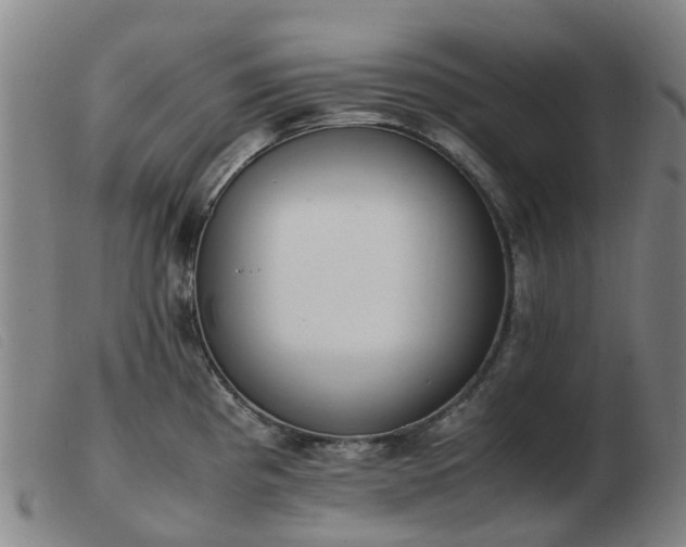 X0000103451193200809191740