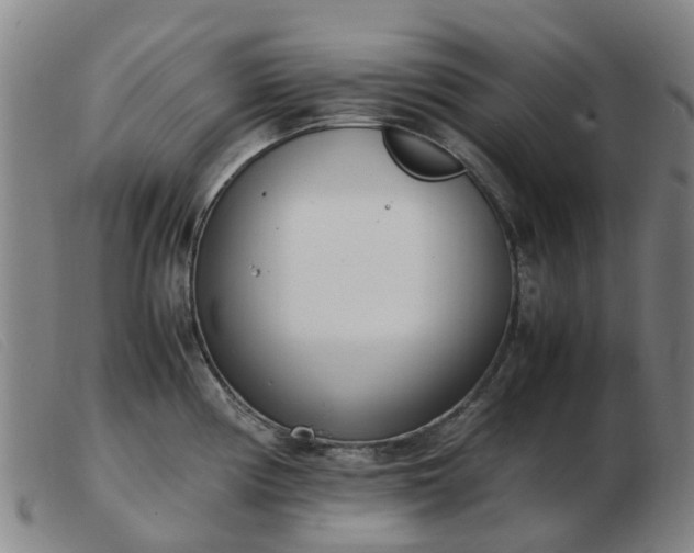 X0000103451194200809191740