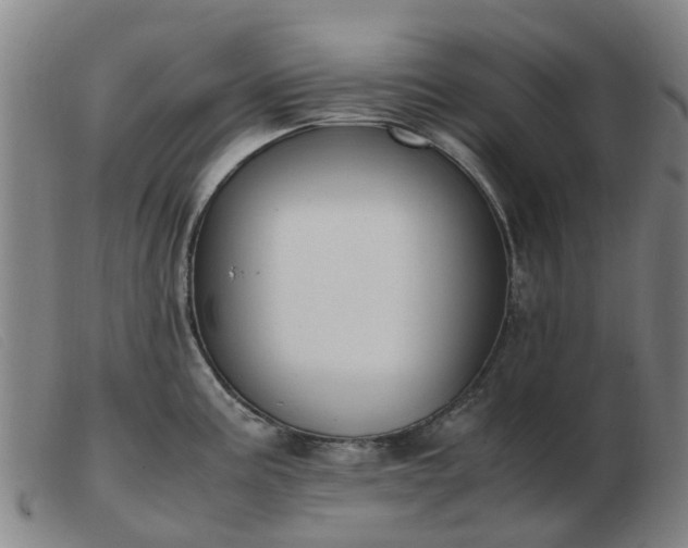 X0000103451195200809191740