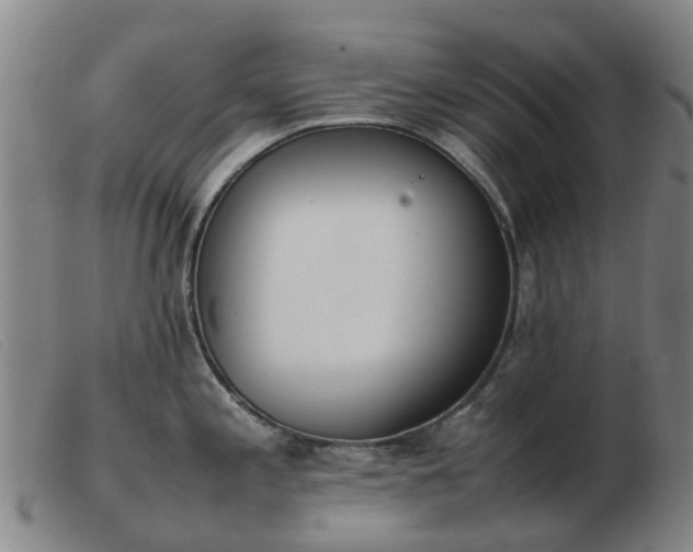 X0000103451197200809191740