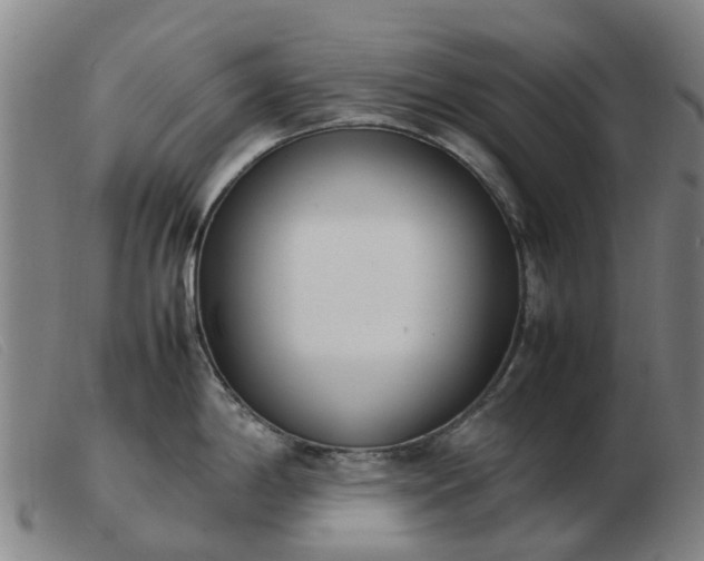 X0000103451198200809191740