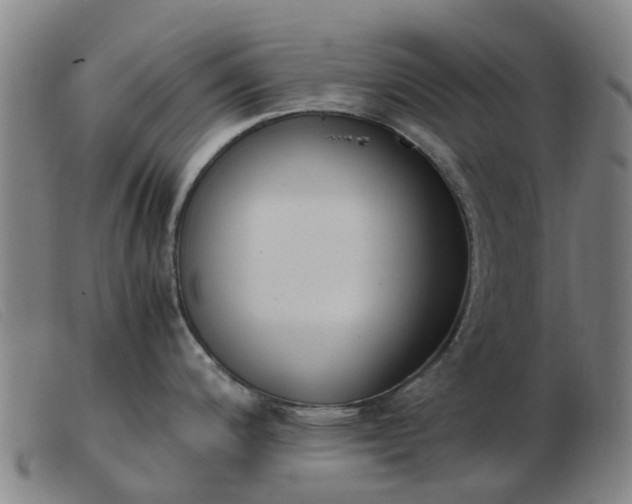 X0000103451200200809191740