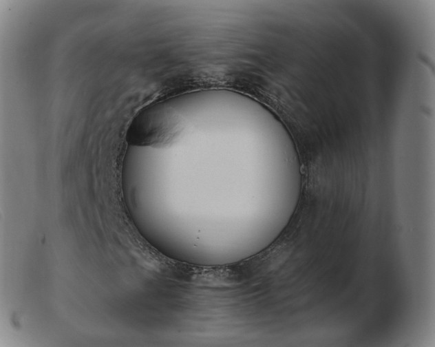 X0000103451201200809191739