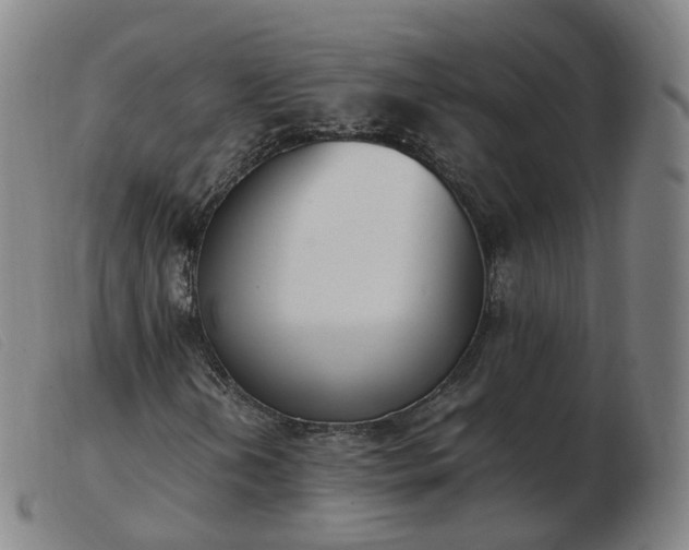 X0000103451202200809191739