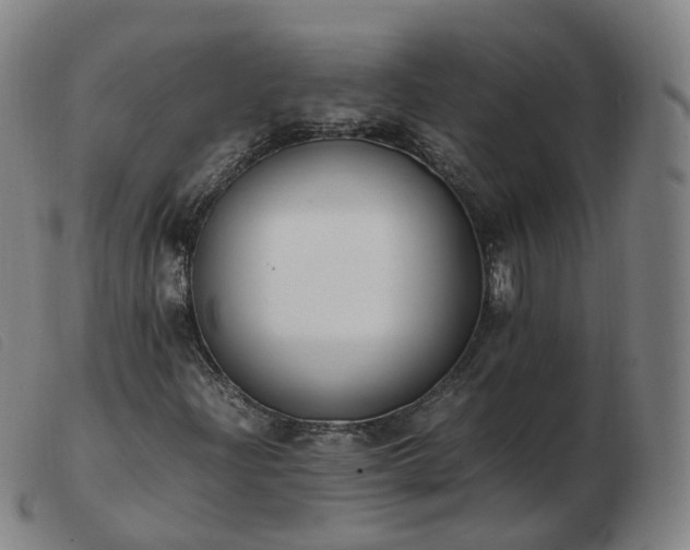 X0000103451204200809191740