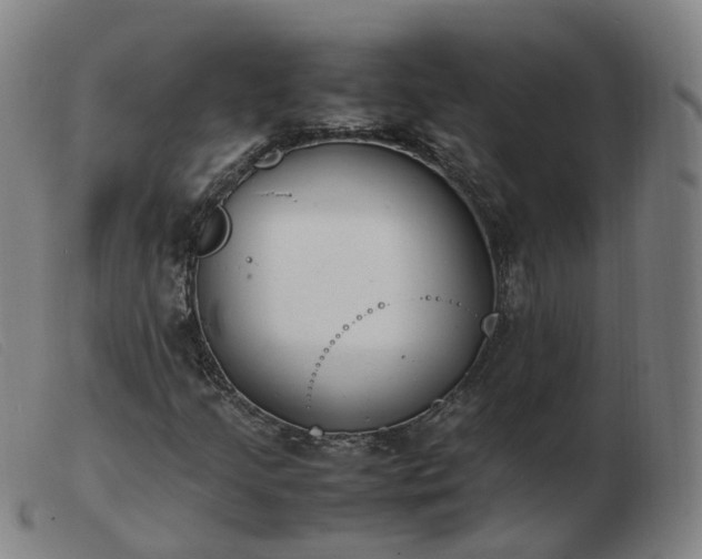 X0000103451205200809191740