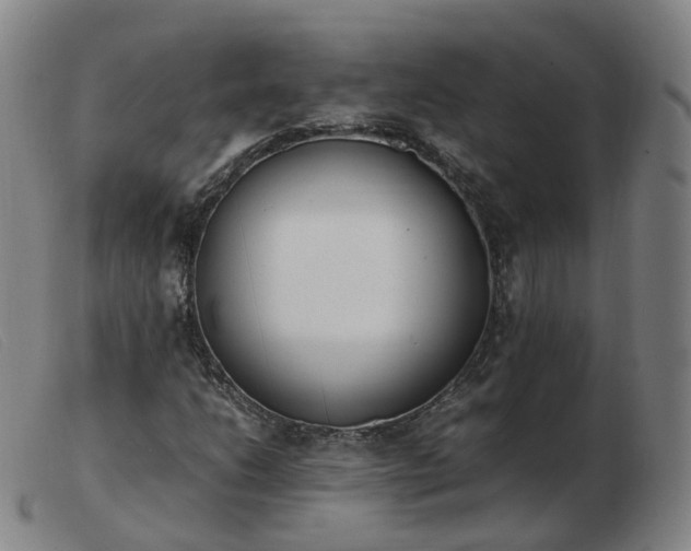 X0000103451206200809191740