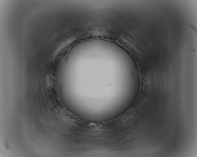 X0000103451207200809191740