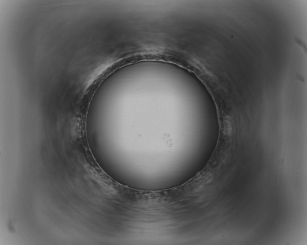 X0000103451208200809191740