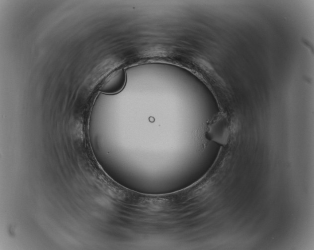 X0000103451209200809191740