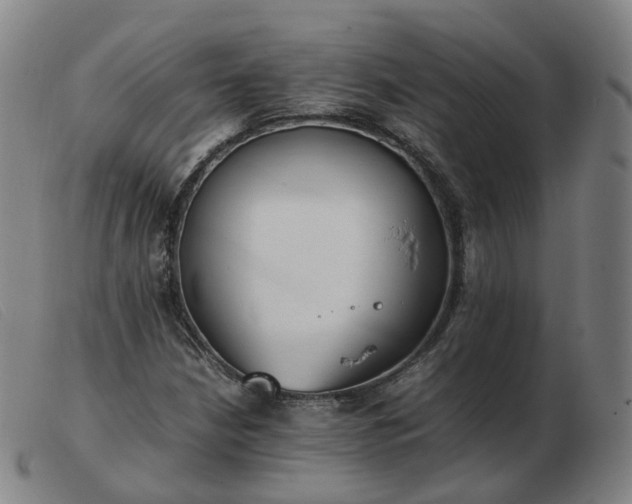 X0000103451210200809191740