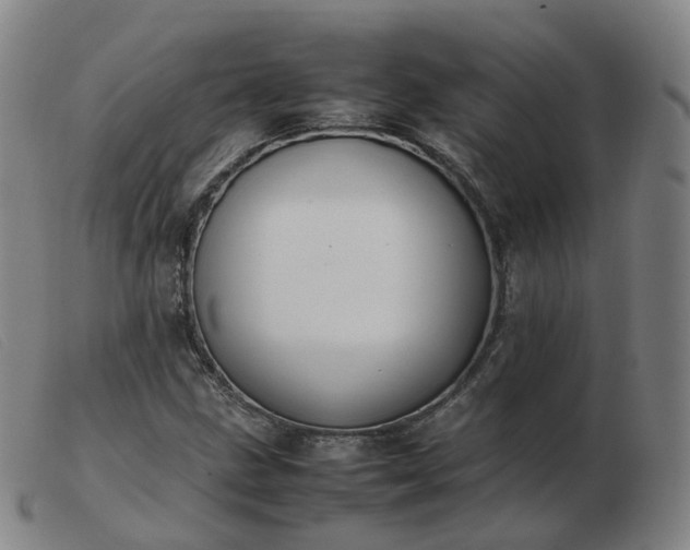 X0000103451211200809191740