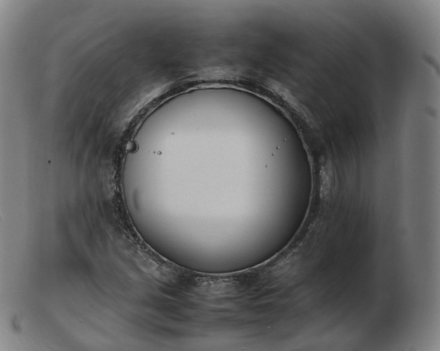 X0000103451213200809191740