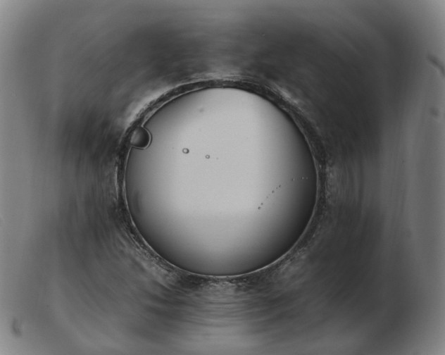 X0000103451214200809191740
