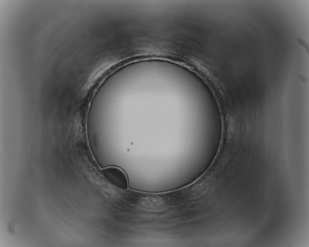 X0000103451215200809191740
