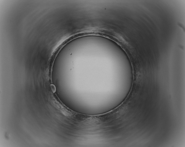 X0000103451216200809191740