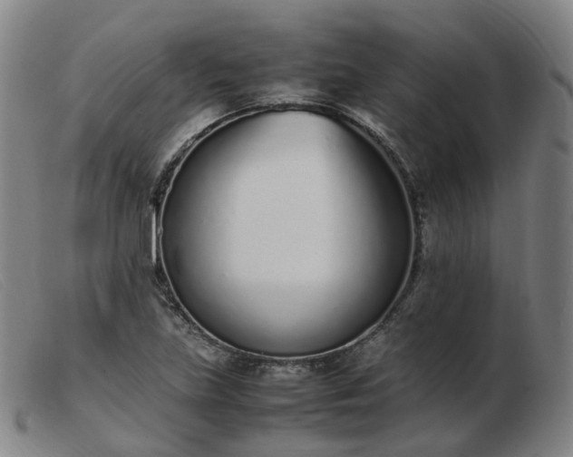 X0000103451219200809191740