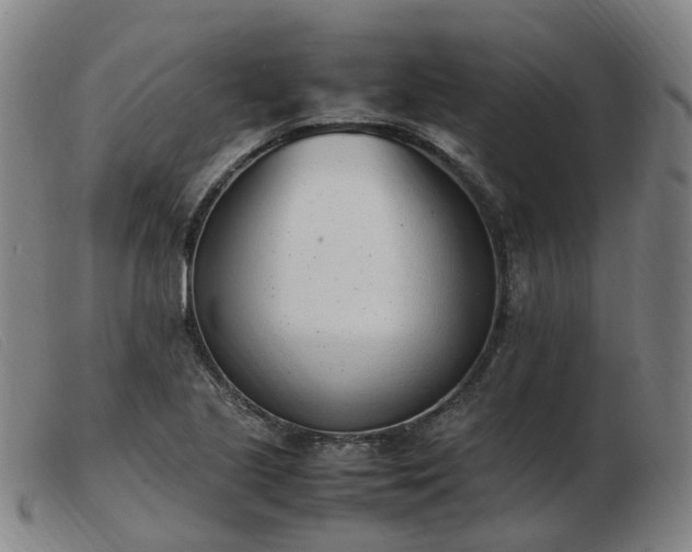 X0000103451221200809191740