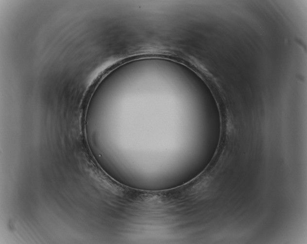 X0000103451222200809191740
