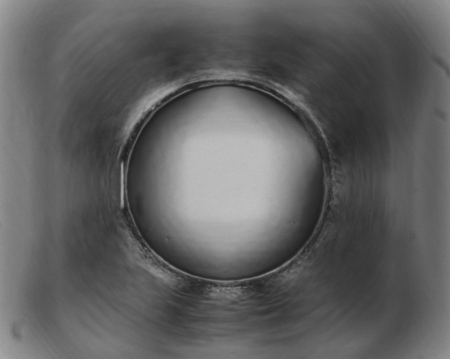 X0000103451223200809191740