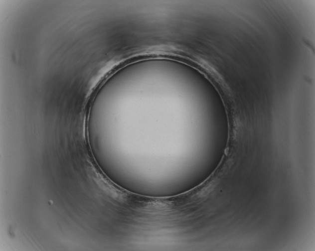 X0000103451224200809191740