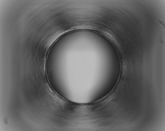 X0000103451228200809191740