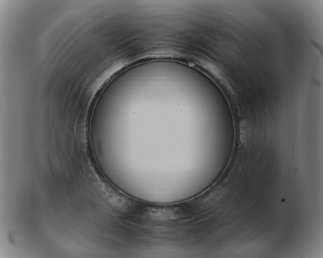 X0000103451229200809191740
