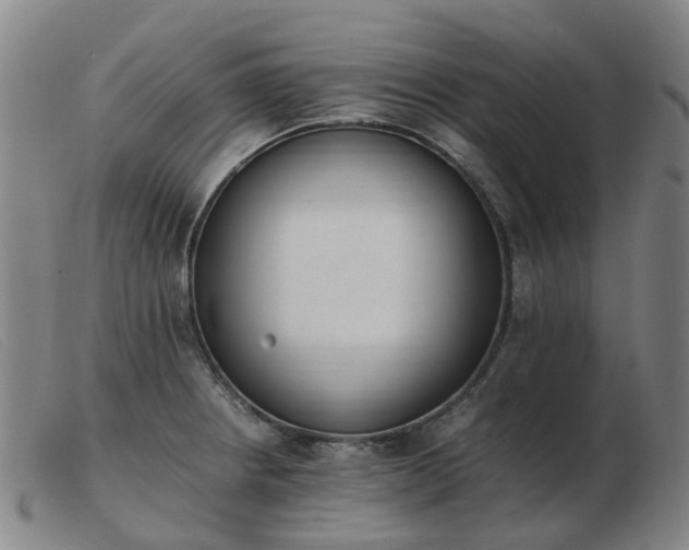 X0000103451234200809191740