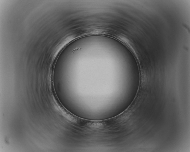 X0000103451235200809191740