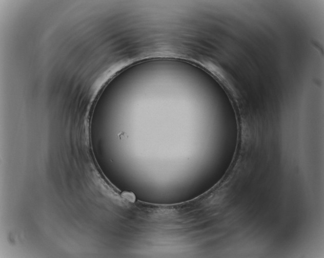 X0000103451238200809191740
