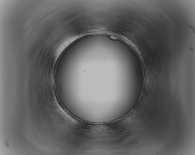 X0000103451239200809191740