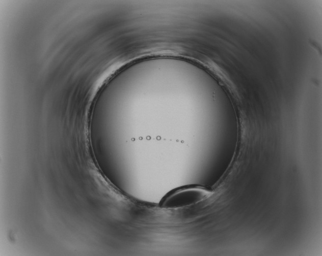 X0000103451240200809191740