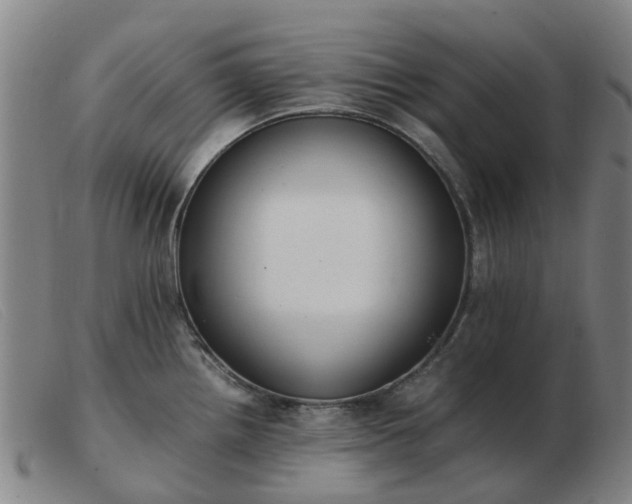 X0000103451242200809191740