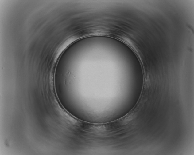X0000103451243200809191740
