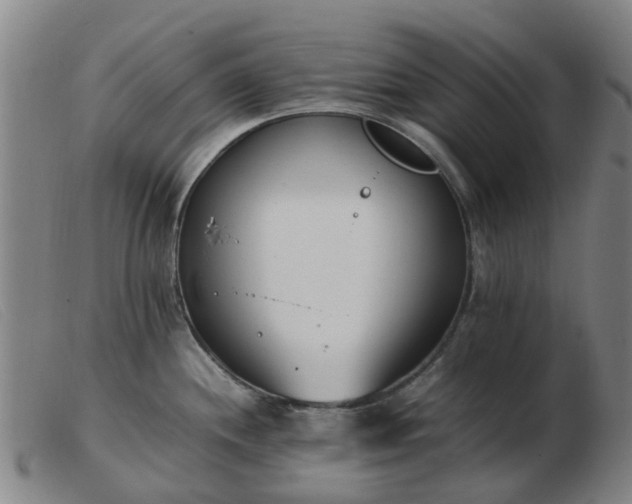X0000103451244200809191740