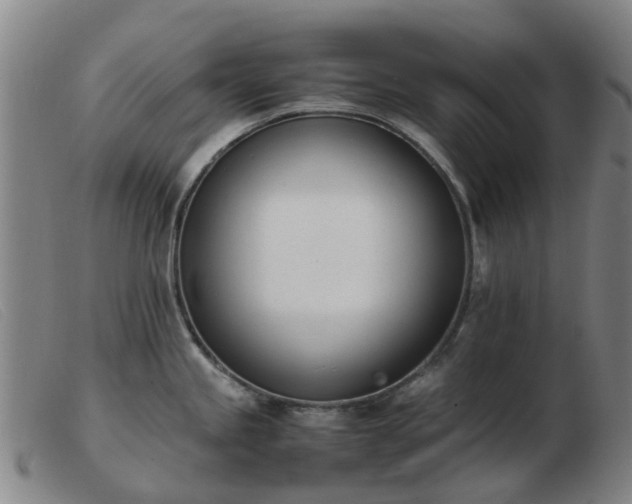 X0000103451245200809191740