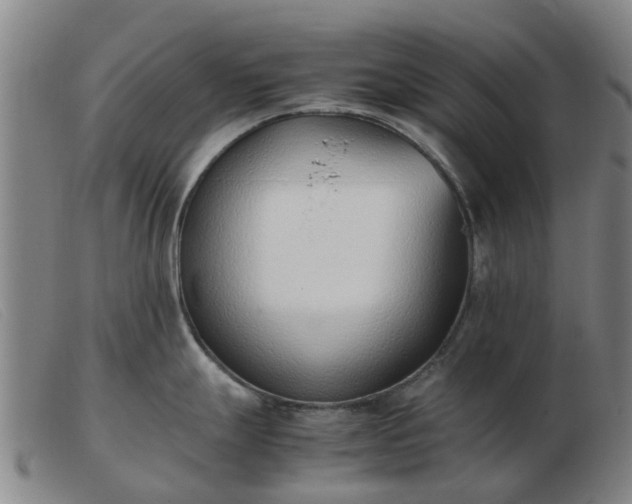 X0000103451247200809191740