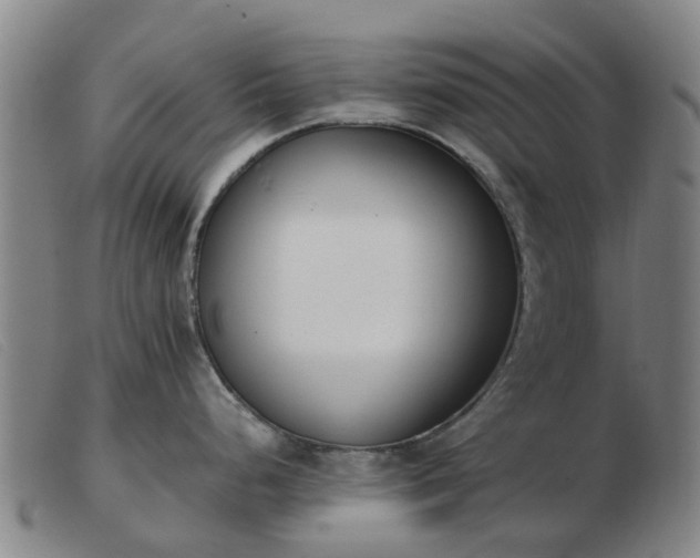 X0000103451248200809191740