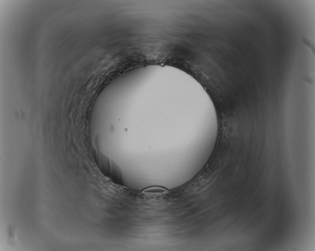 X0000103451249200809191739