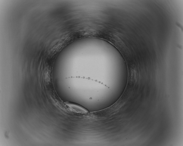 X0000103451250200809191739