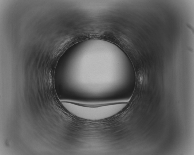 X0000103451252200809191739