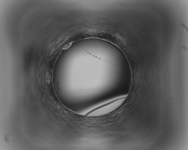X0000103451253200809191739
