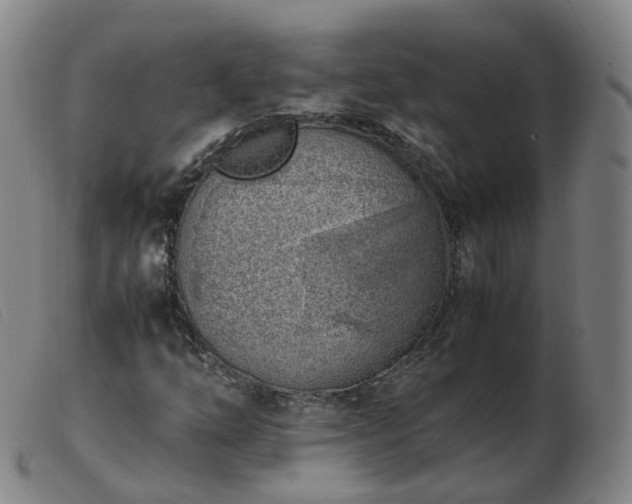 X0000103451254200809191739