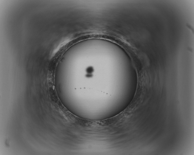 X0000103451255200809191739