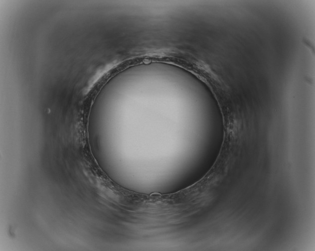X0000103451256200809191739