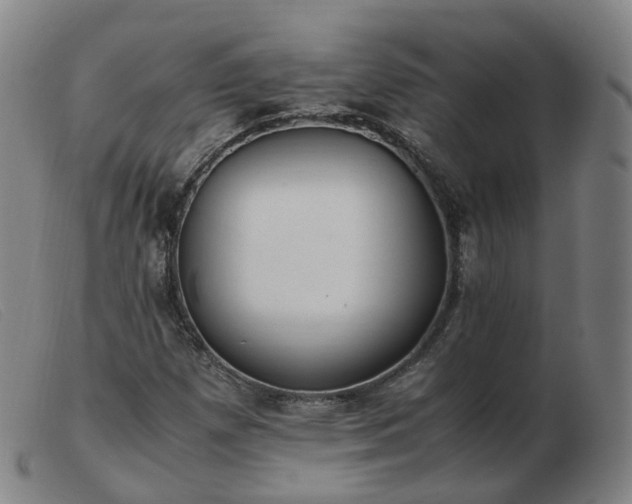 X0000103451257200809191739