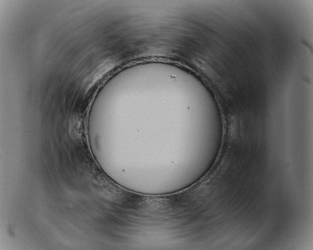 X0000103451258200809191739